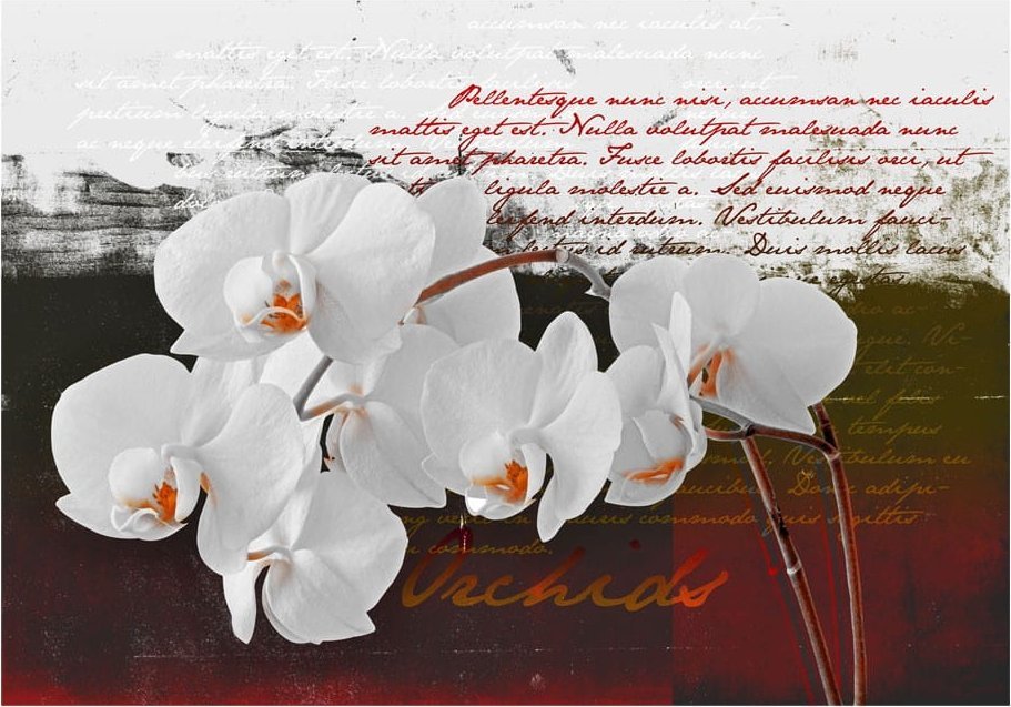 DecoNest Fototapeta - Pamiętnik i orchidea - 300X210
