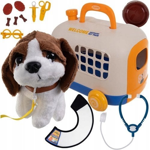 Zestaw małego doktora z walizką 26511