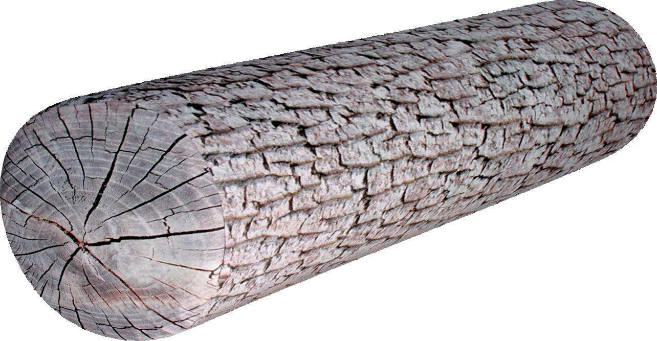 Bertoni-arco Poduszka Wałek - Olcha 16x55 cm