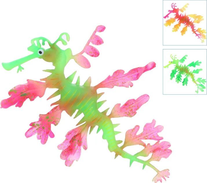 Nobleza Odblaskowy pławikonik australisjki Odblaskowy pławikonik australisjki