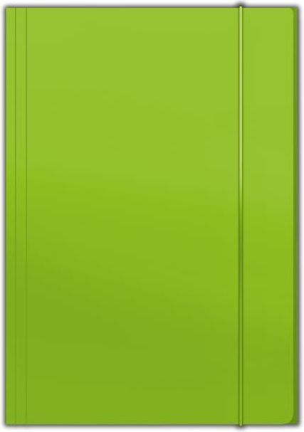 Penmate Teczka z gumkÄ… A4 jasnozielona