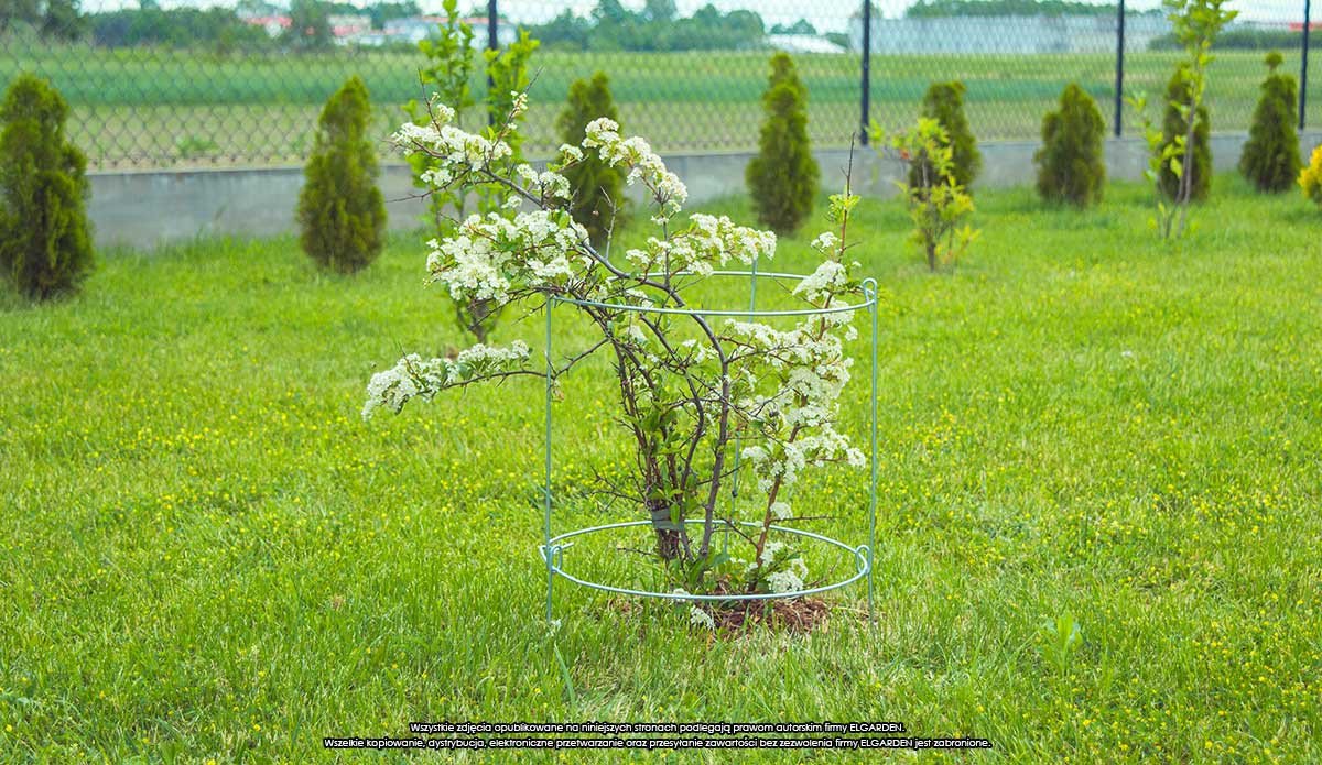 Podpora do roślin koła x2 60 Pergola