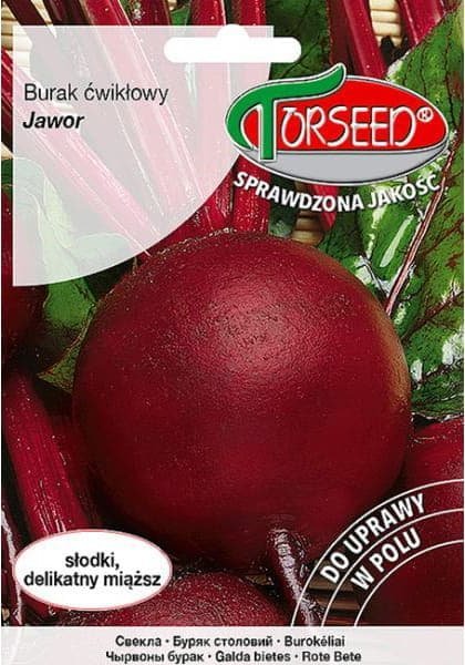 Torseed Nasiona Burak ćwikłowy Jawor 10g