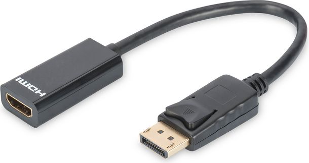 Adapter AV Digitus DisplayPort - HDMI czarny (DB-340400-001-S)