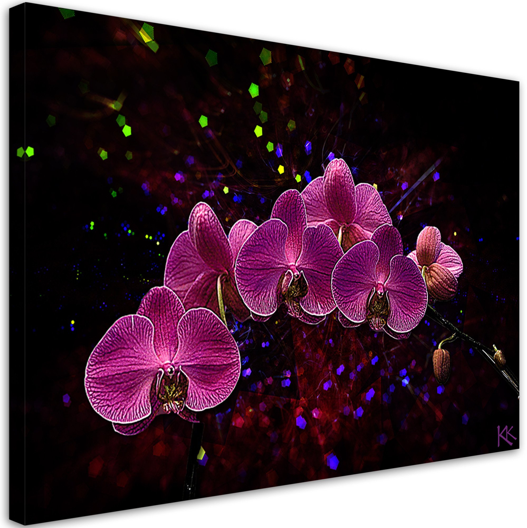 Feeby obraz na płótnie Orchidea na ciemnym tle 60x40 medium