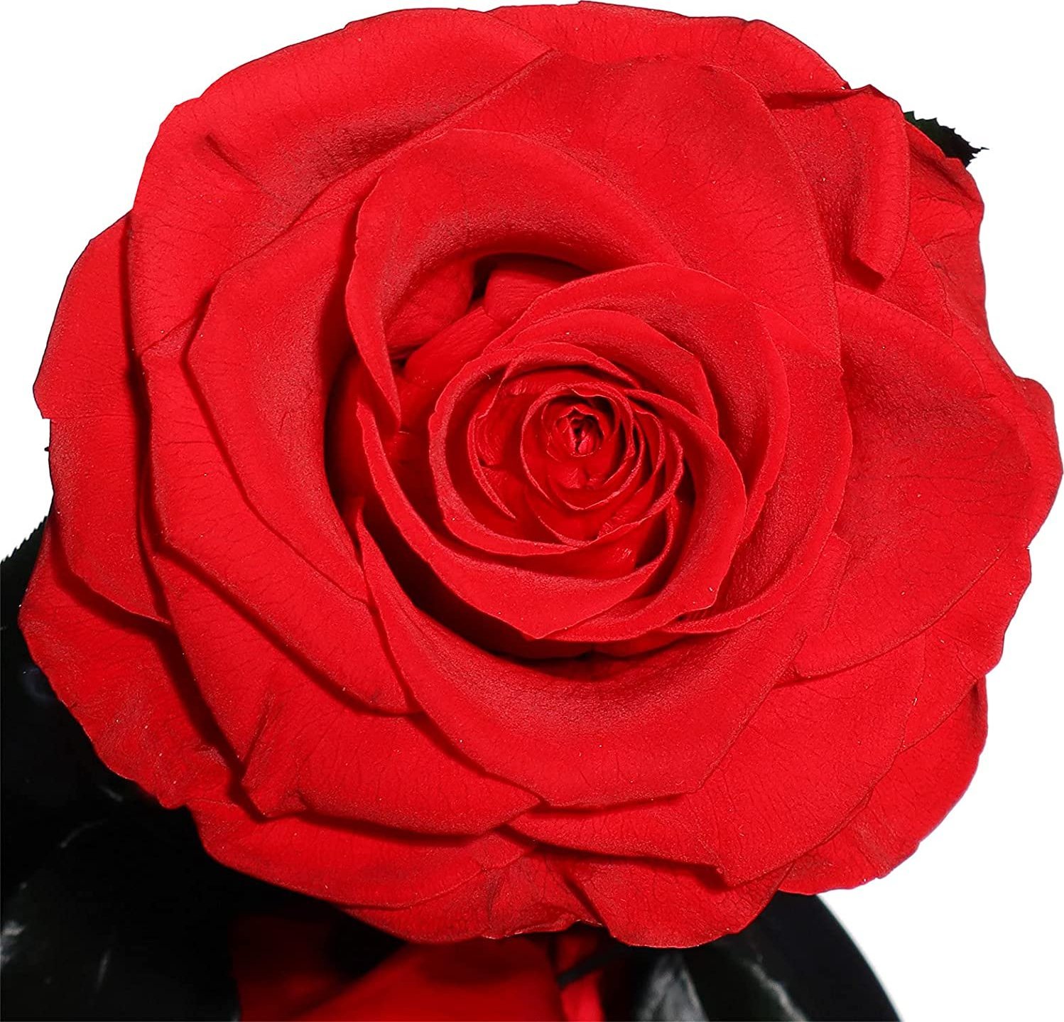 ToPrezent.pl Zakonserwowane 3 Czerwone Róże w Szkle