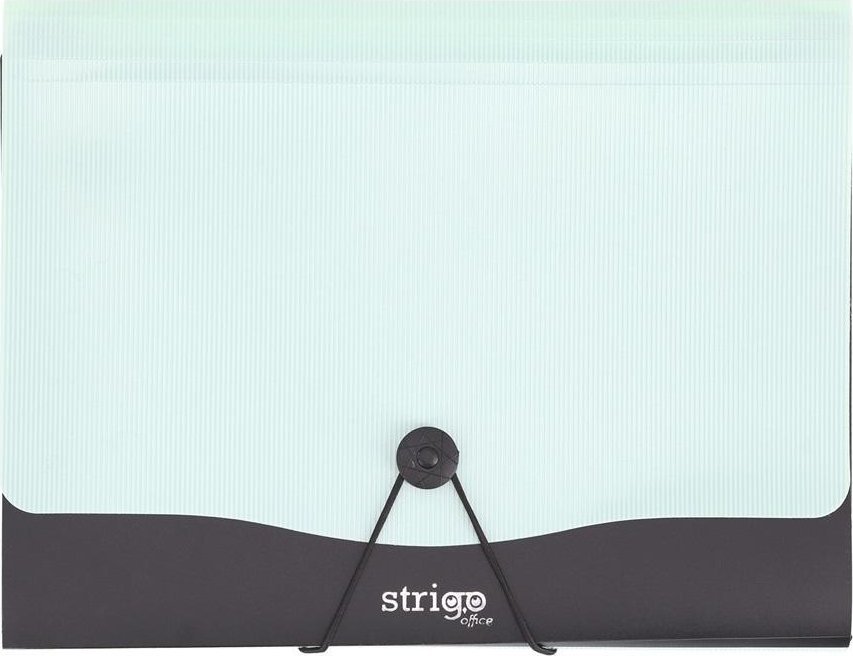 Teczka Vfile A4 z 13 przekładkami miętowa STRIGO