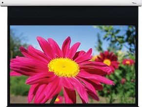 Ekran do projektora Optoma DE-1095EGA