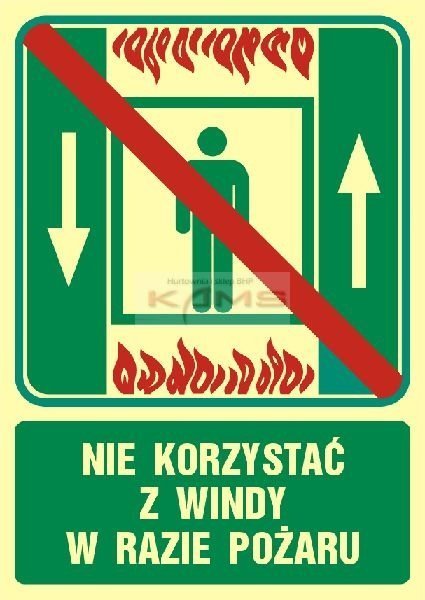 TD Systems AC028 Zakaz korzystania z dźwigu osobowego w razie pożaru. 222 x 150
