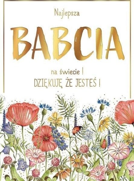 HENRY Karnet B6 Łąka Babcia