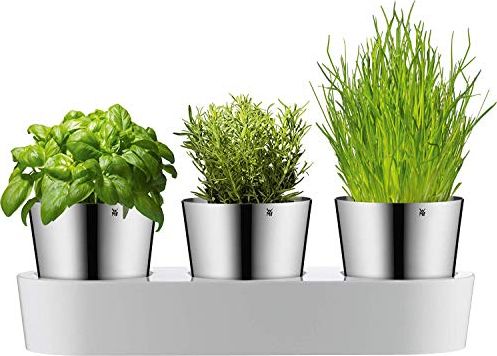 WMF Garnek na zioła WMF Gourmet z systemem nawadniania, części 3, ogród ziołowy do kuchni, 36x 12,5x 12,5 cm, do świeżych ziół kuchennych, biały