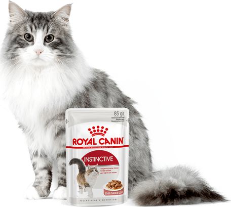 Royal Canin Instinctive 24x85g