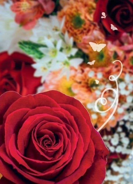 Pan Dragon Karnet B6 Uniwersalny