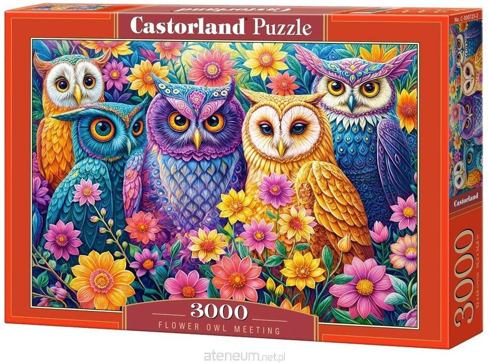 Puzzle 3000 Flower Owl Meeting CASTOR