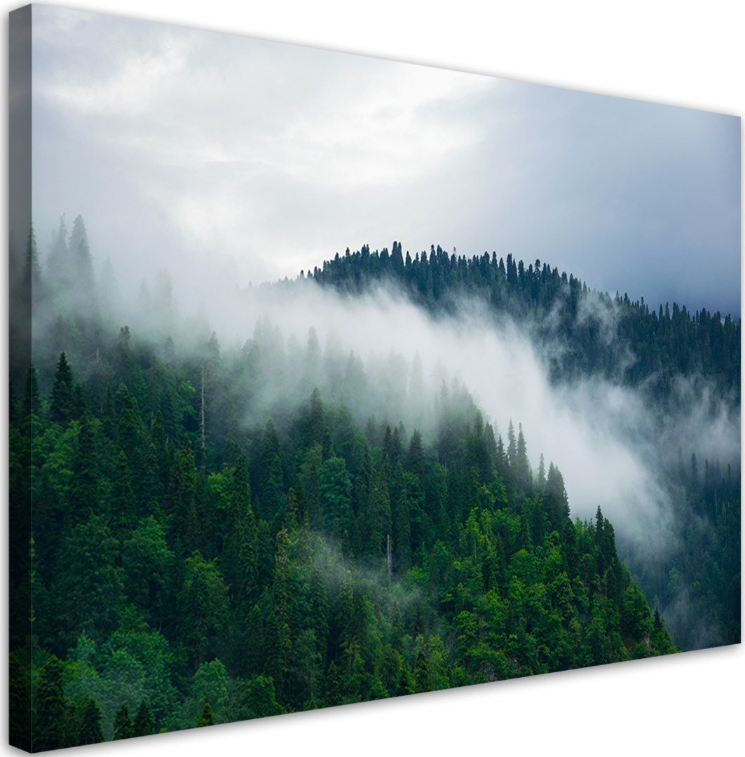 Feeby Obraz na płótnie, Las we mgle - 120x80