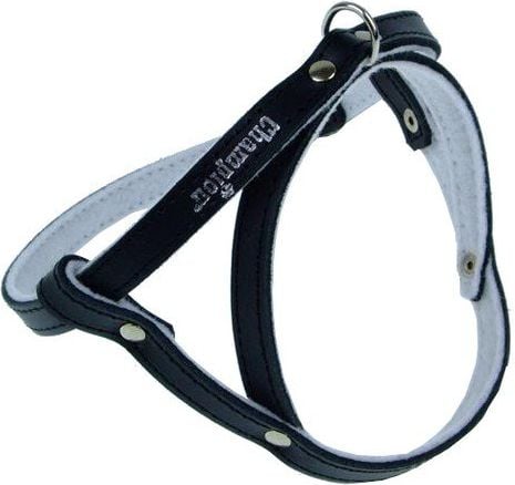 Champion Szelki 40 czarne SD