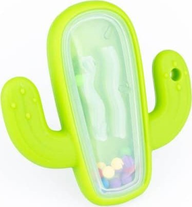 Dumel Grzechotka kaktus