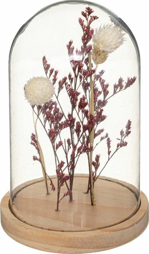 Atmosphera Suszone kwiaty pod kloszem Gypsy