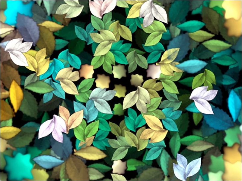 DecoNest Fototapeta - Magia natury - 200X154