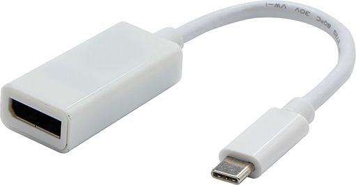 Adapter USB USB-C - DisplayPort Biały