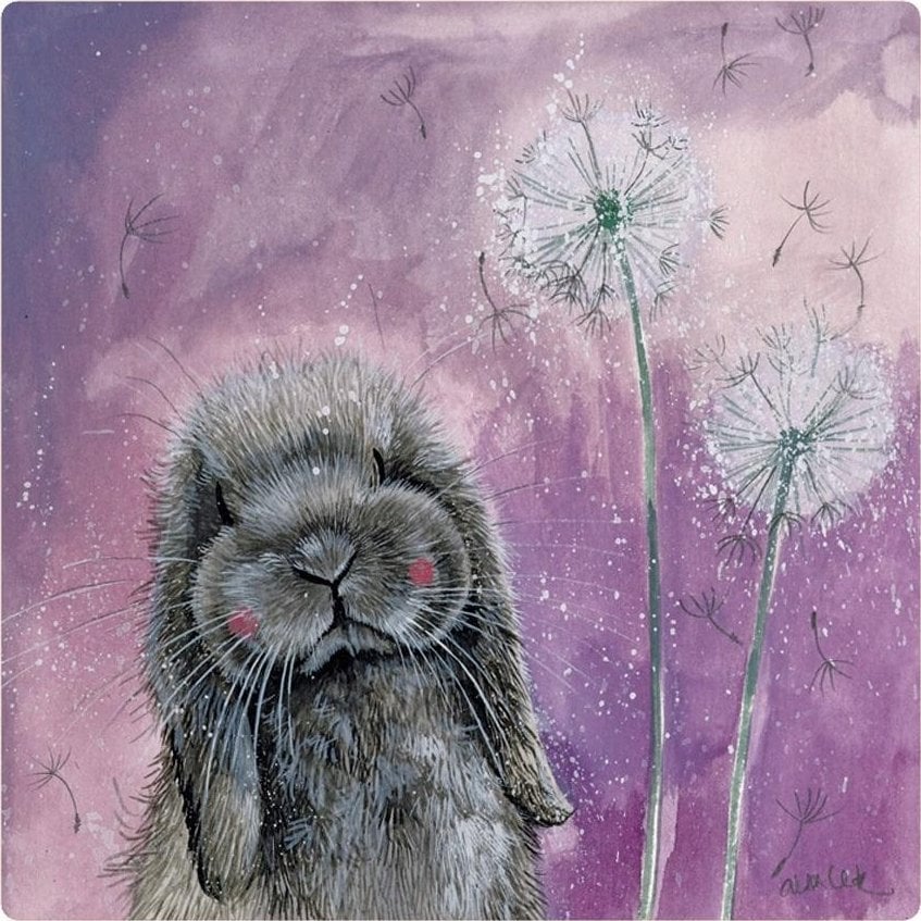 Teka Magnes FM206 Króliczek