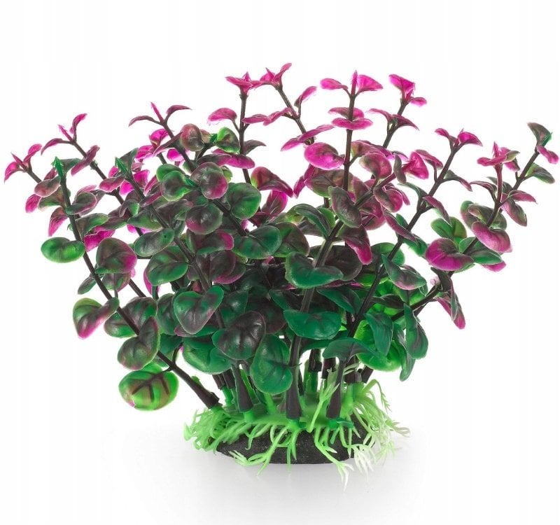 Terra Natura Aqua Natura, roślina do dekoracji akwarium, zielono-fioletowa, plastikowa, 12 cm, peperomia