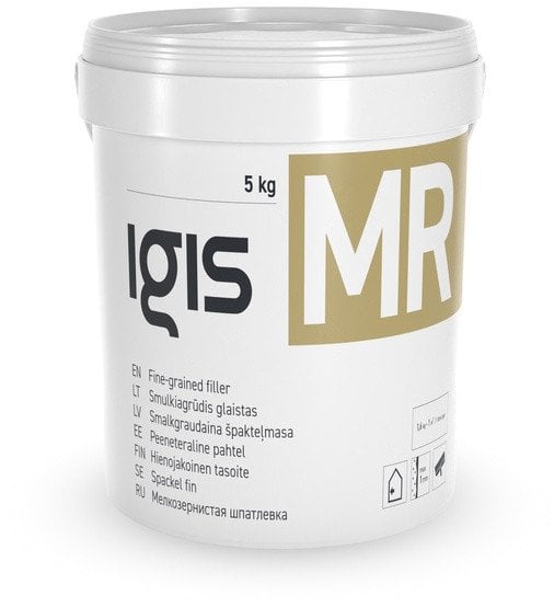 FINE-GRAINED PUTTY IGIS.MR, 5 KG