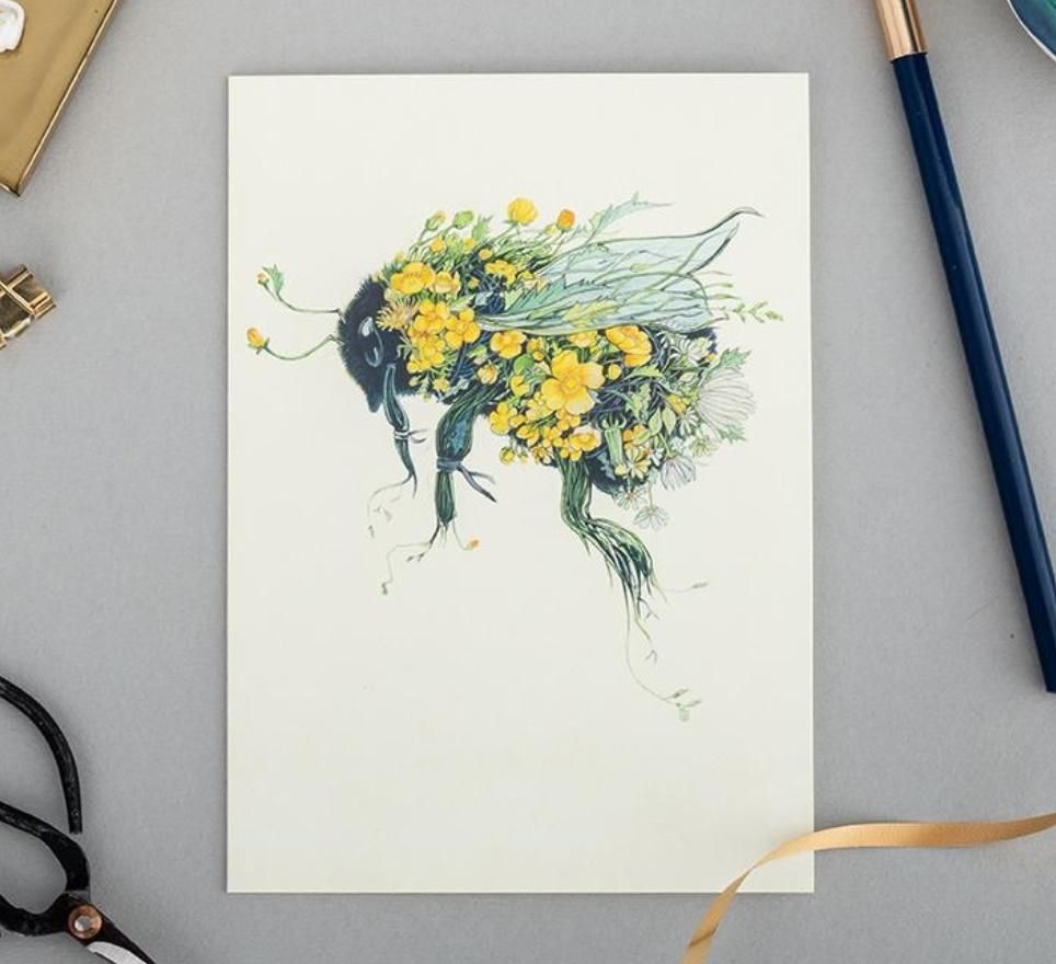 DM Collection Karnet A064 B6 + koperta Trzmiel