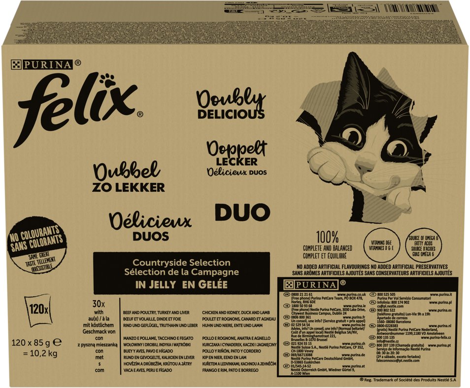 PURINA FELIX FANTASTIC DUO Mix 120x85g