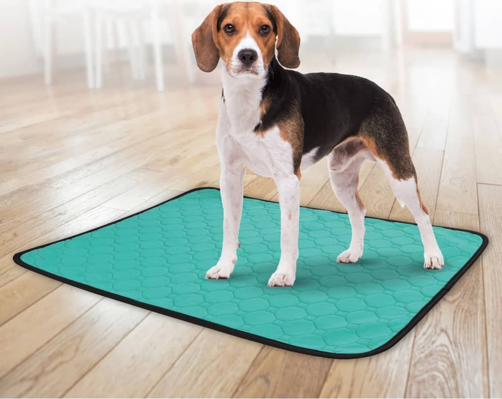 Flamingo Mata treningowa Patsy L, antypoślizgowa, wielorazowa, zielona