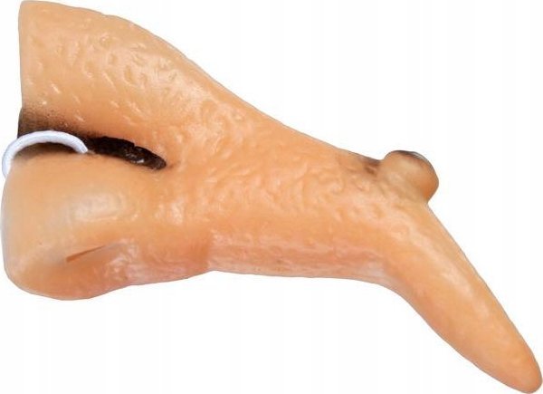 Korbi NOS CZAROWNICY WIEDŹMY NOCHAL PRZEBRANIE