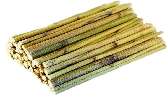 Ham-Stake Topinambur młode pędy gryzaki królika gryzoni uniwersalny