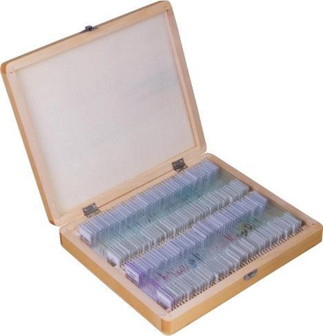 Mikroskop Bresser Zestaw preparatów Bresser w etui, 100 szt.