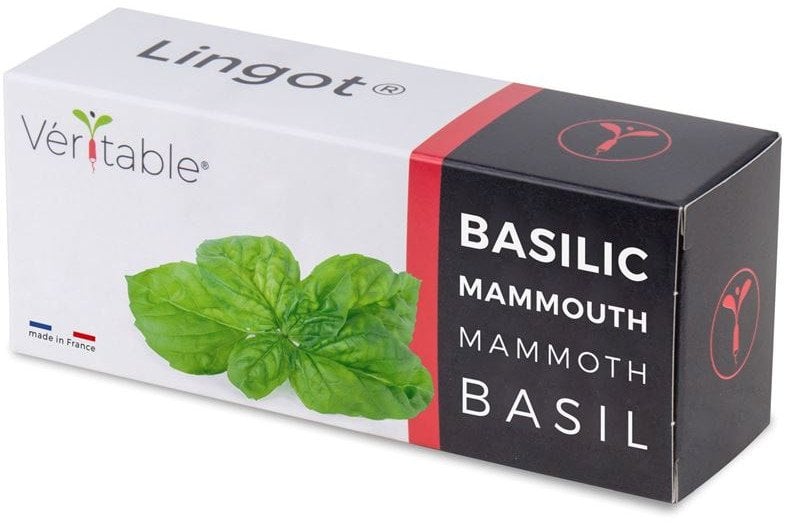 Véritable Lingot Bazalka mamutí