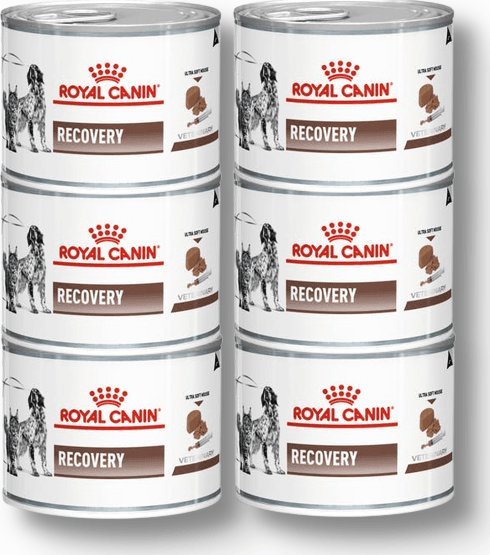 Royal Canin ROYAL CANIN Recovery 6x195g puszka