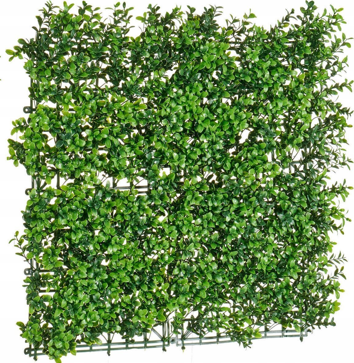 Ibergarden Sztuczny żywopłot, 50 x 50 cm