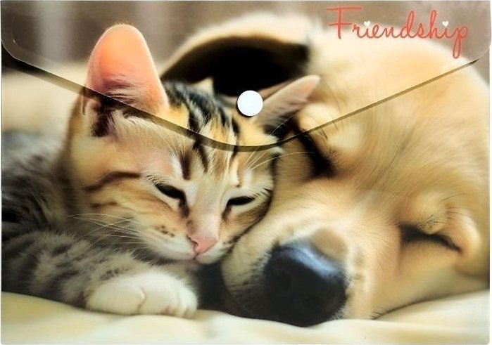 Koperta A5 PP na napę z nadrukiem Friendship