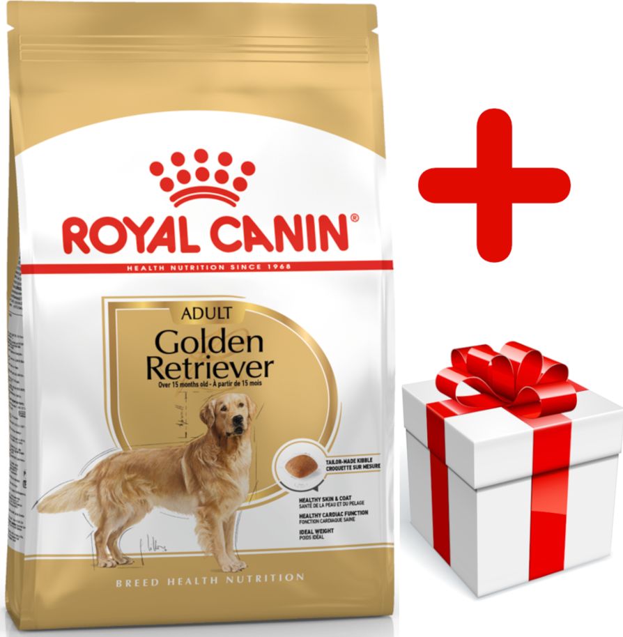 Royal Canin ROYAL CANIN Golden Retriever Adult 12kg karma sucha dla psów dorosłych rasy golden retriever + niespodzianka dla psa GRATIS!
