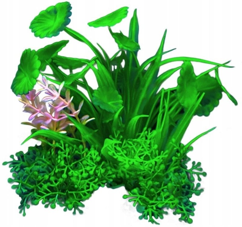 Terra Natura Aqua Natura, roślina, do dekoracji akwarium, zielona z dodatkiem różowego, plastikowa, 12 cm, płaskie okrągłe liście