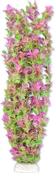 Happet HAPPET ROŚLINA FOLIA 65CM / 6F36