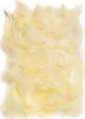 Dalprint Piórka DPCRAFT 5-12cm 10g Ecru Dalprint