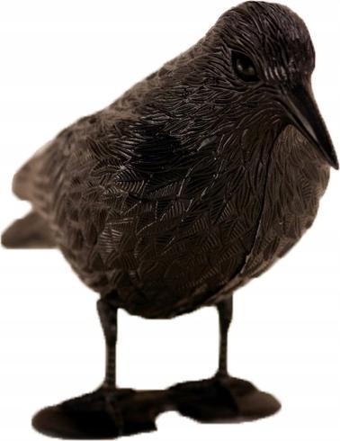 Florada Figura kruka Odstraszacz ptaków