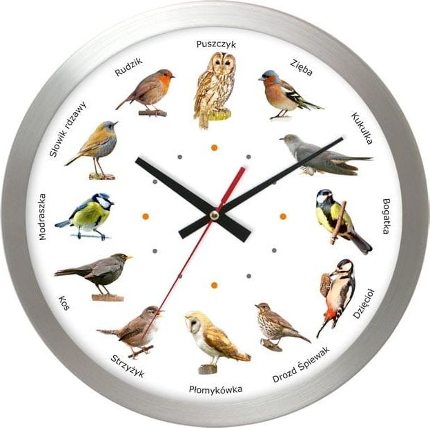Atrix Zegar z głosami ptaków Atrix AL02PK3 SW 30 cm uniwersalny