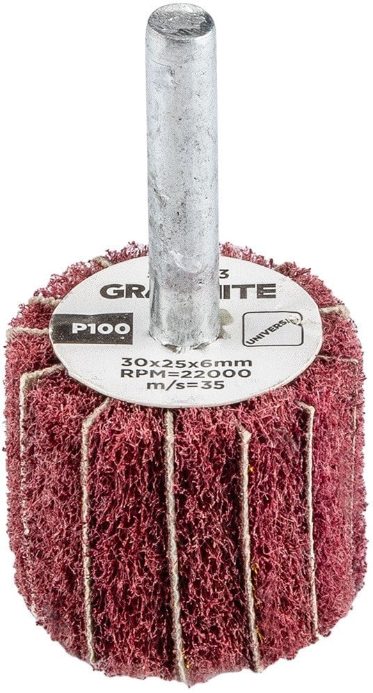 Ściernica listkowa trzpieniowa 30 x 25 x 6 mm, P100