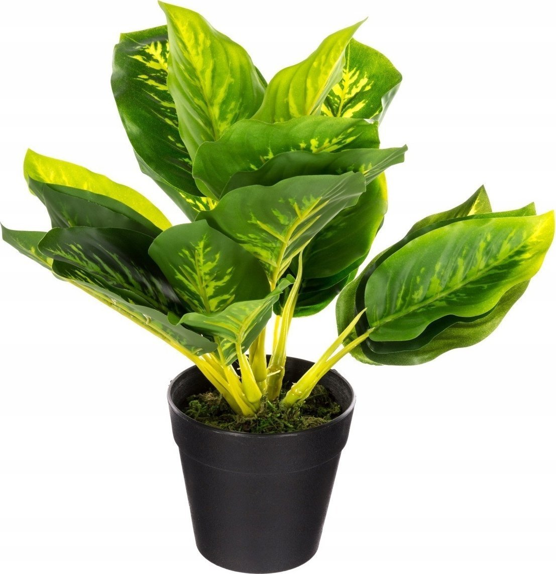 Atmosphera Sztuczna roślina w doniczce KALATEA, 30 cm