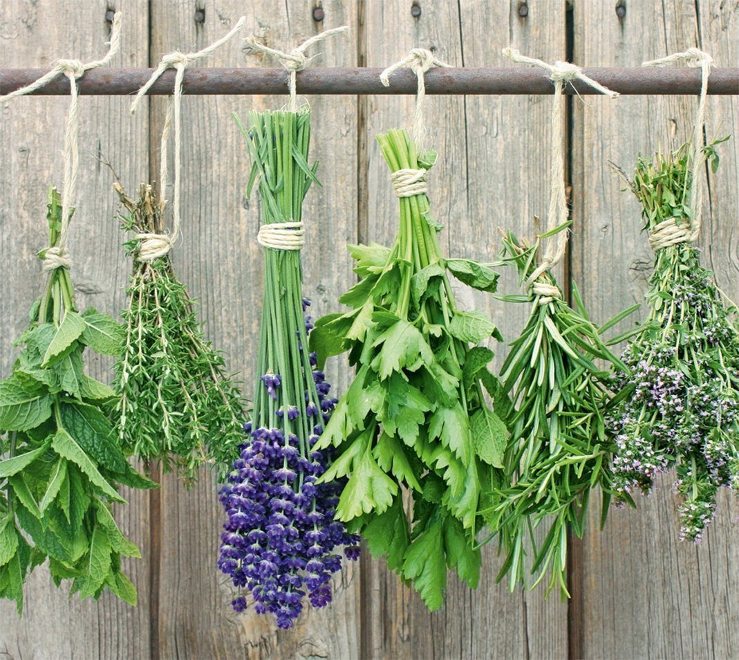 Zeller Szklana płyta ochronna LAWENDA na kuchenkę – duża, ZELLER