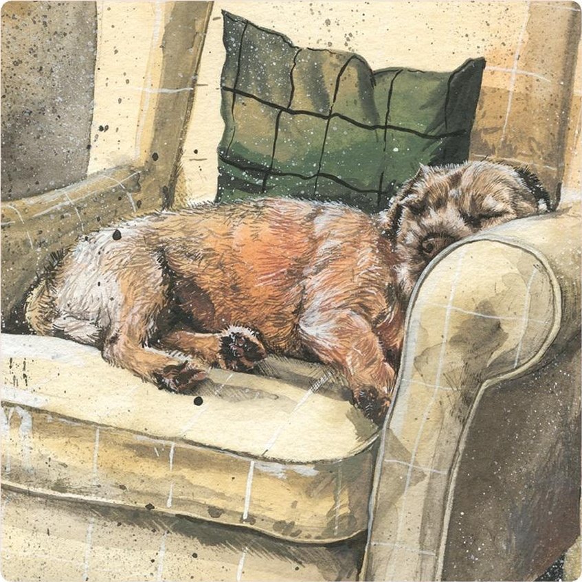 Magnes FM212 Pies Walter