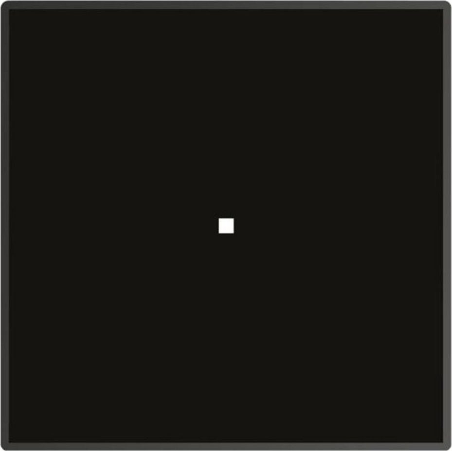 Płyta grzewcza Foster MODULAR INDUCTION QUADRA BLK