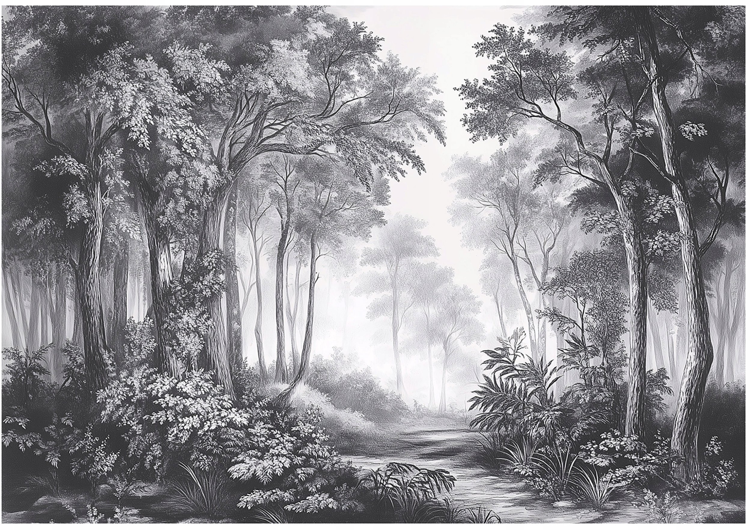 Fototapeta Las 3D Czarno Biały Sypialnia Salon Tapeta Flizelina 300X210