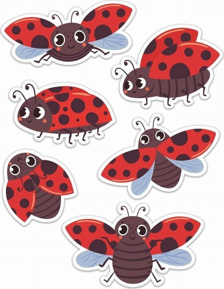 LearnHow Dekoracje okienne dwustronne - Biedronkii 01 6szt